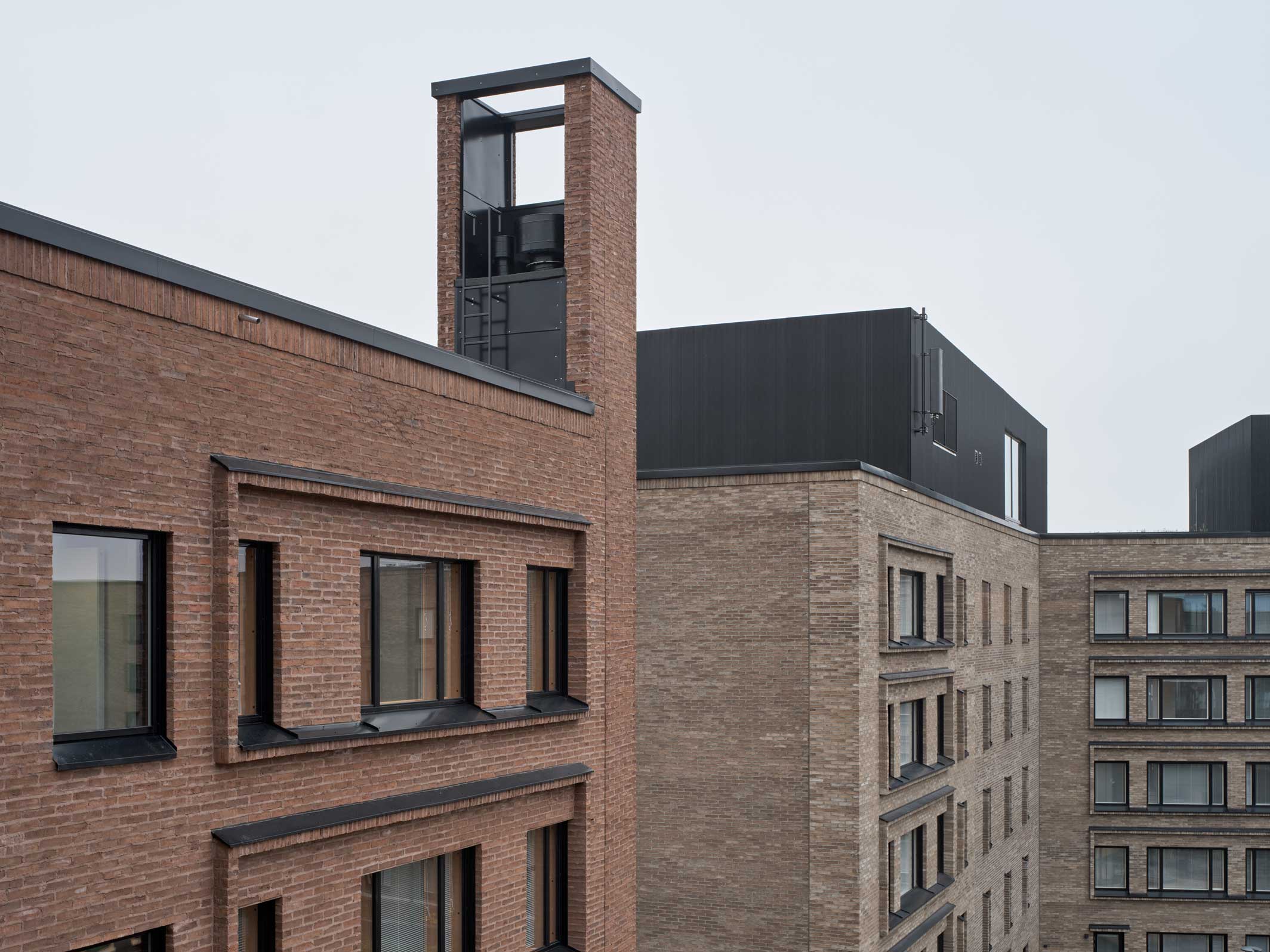 TU-251030-kakikello-016_h1596