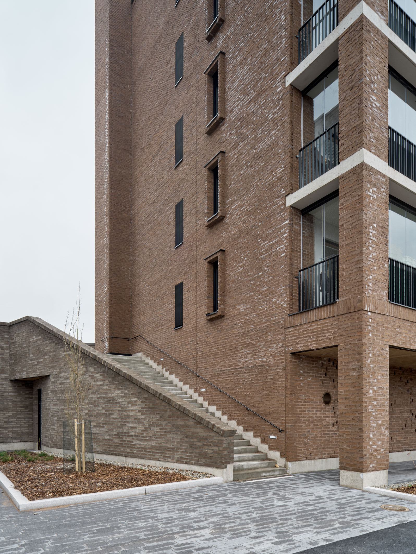 TU-251120-kakikello-020_w1596