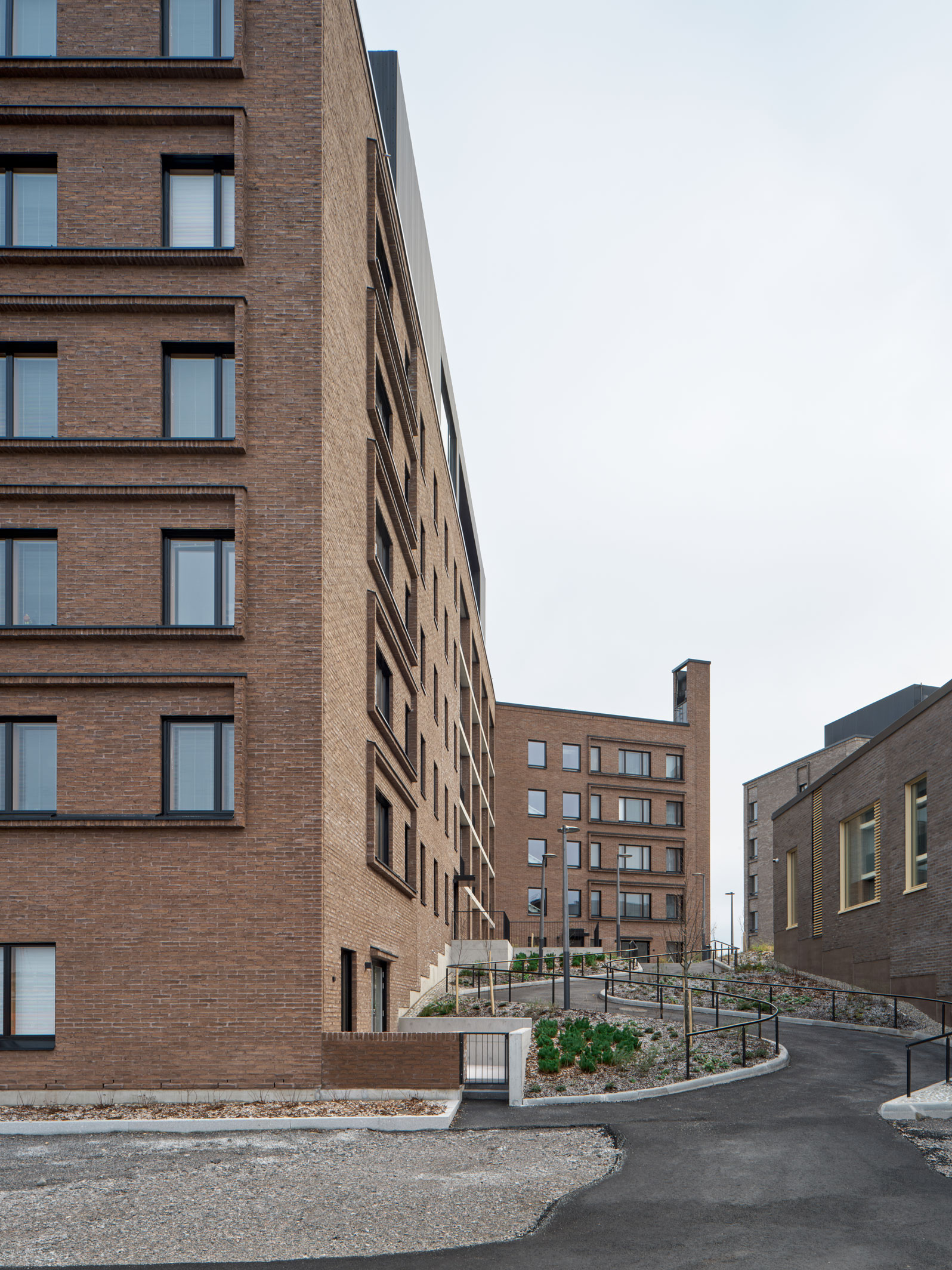 TU-251120-kakikello-024_w1596