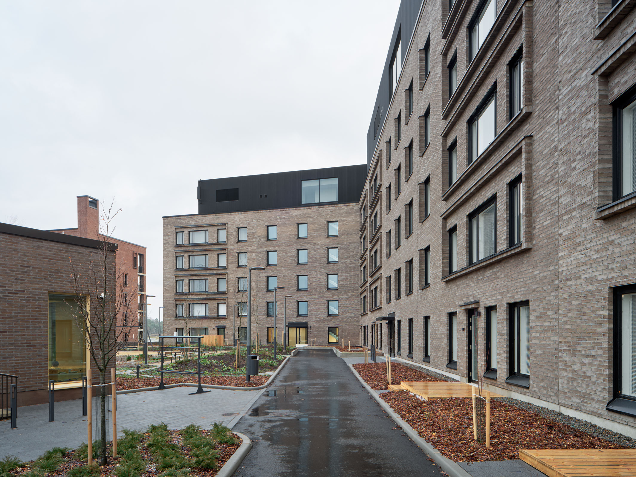 TU-251120-kakikello-029_h1596