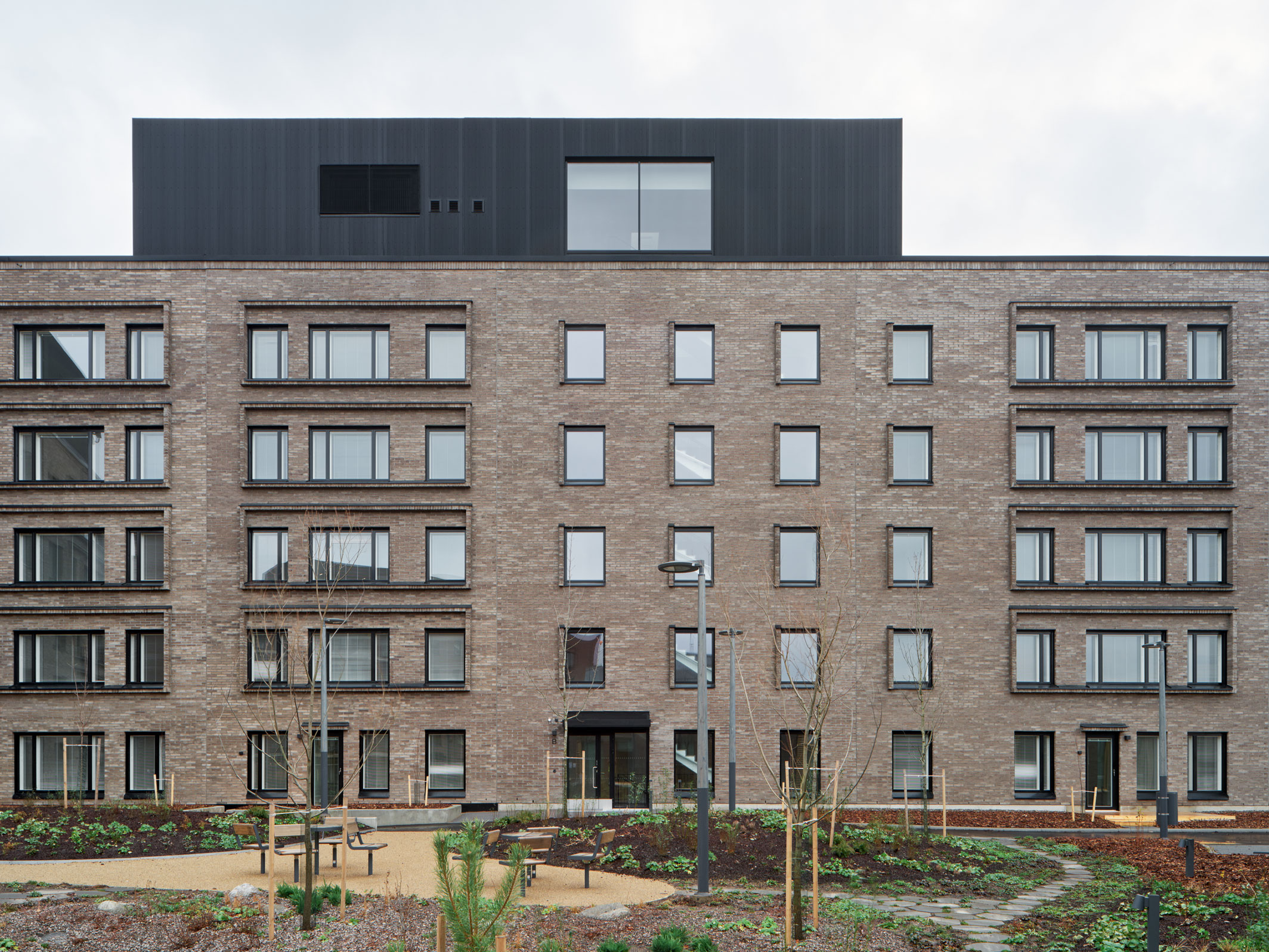 TU-251120-kakikello-030_h1596