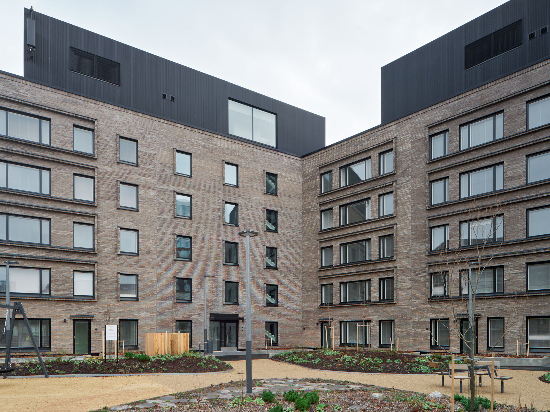 TU-251120-kakikello-031_h1596